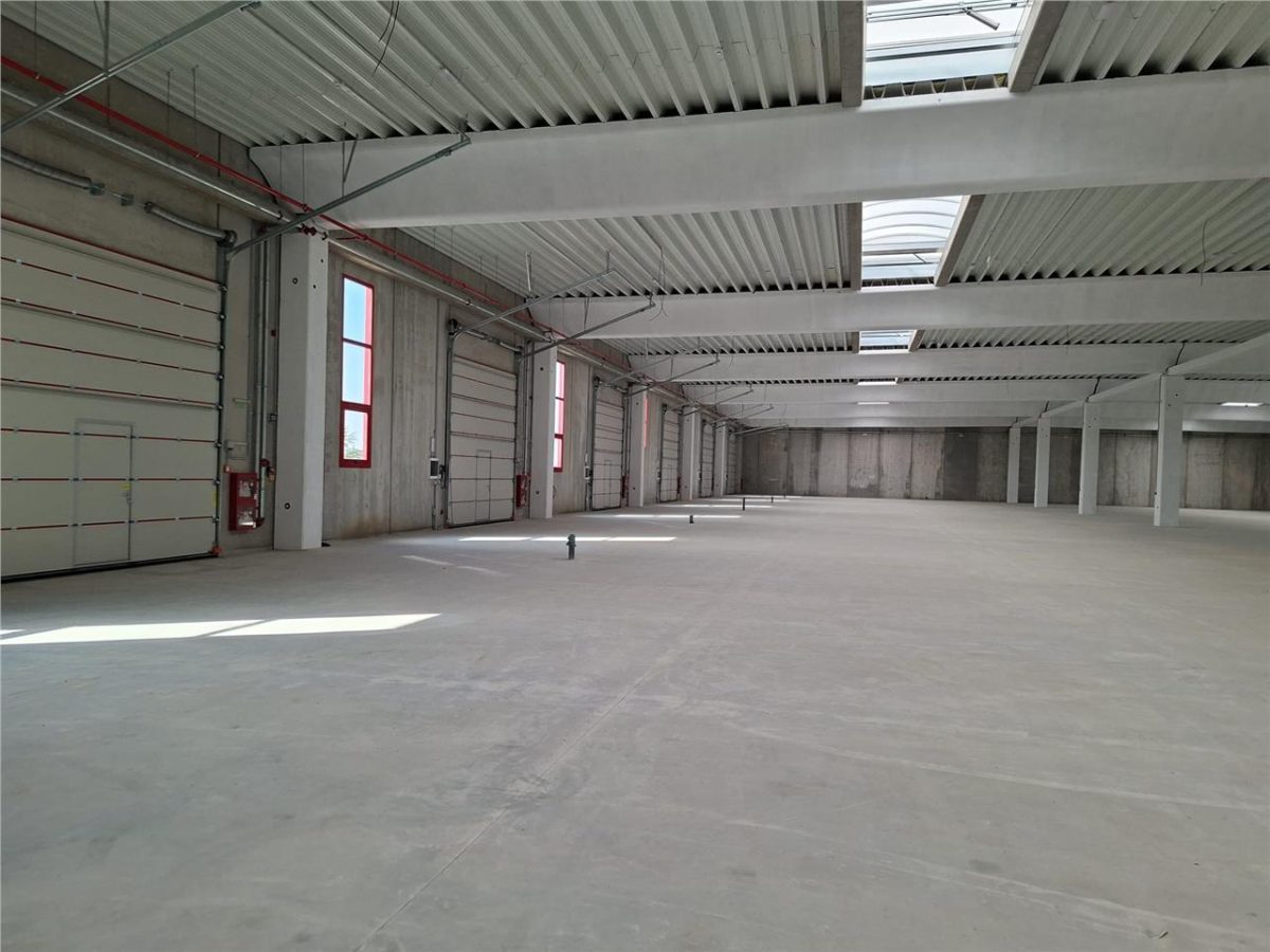 Hala 1800 mp din beton, 6 porti acces, unica in jud.Ilfov. - foto 3