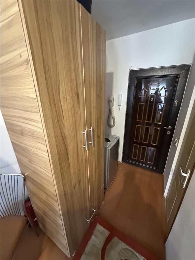 Langa Giovana Bucovina cu acoperis ideala pt investitie - foto 3