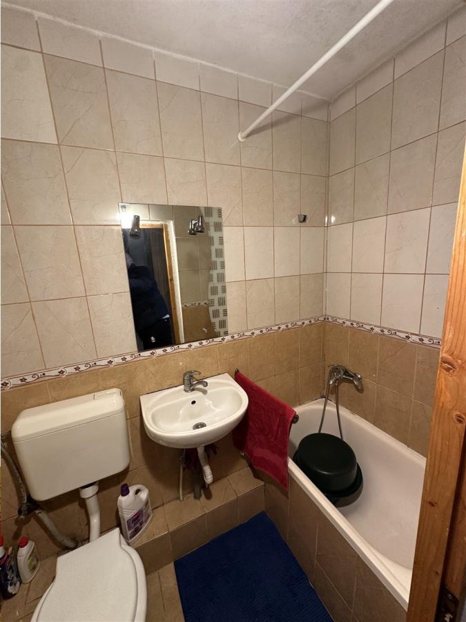 Langa Giovana Bucovina cu acoperis ideala pt investitie - foto 4