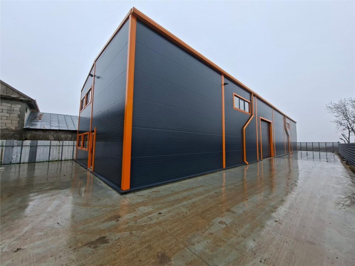 Afumati-E85, Hala 420 mp - foto 4