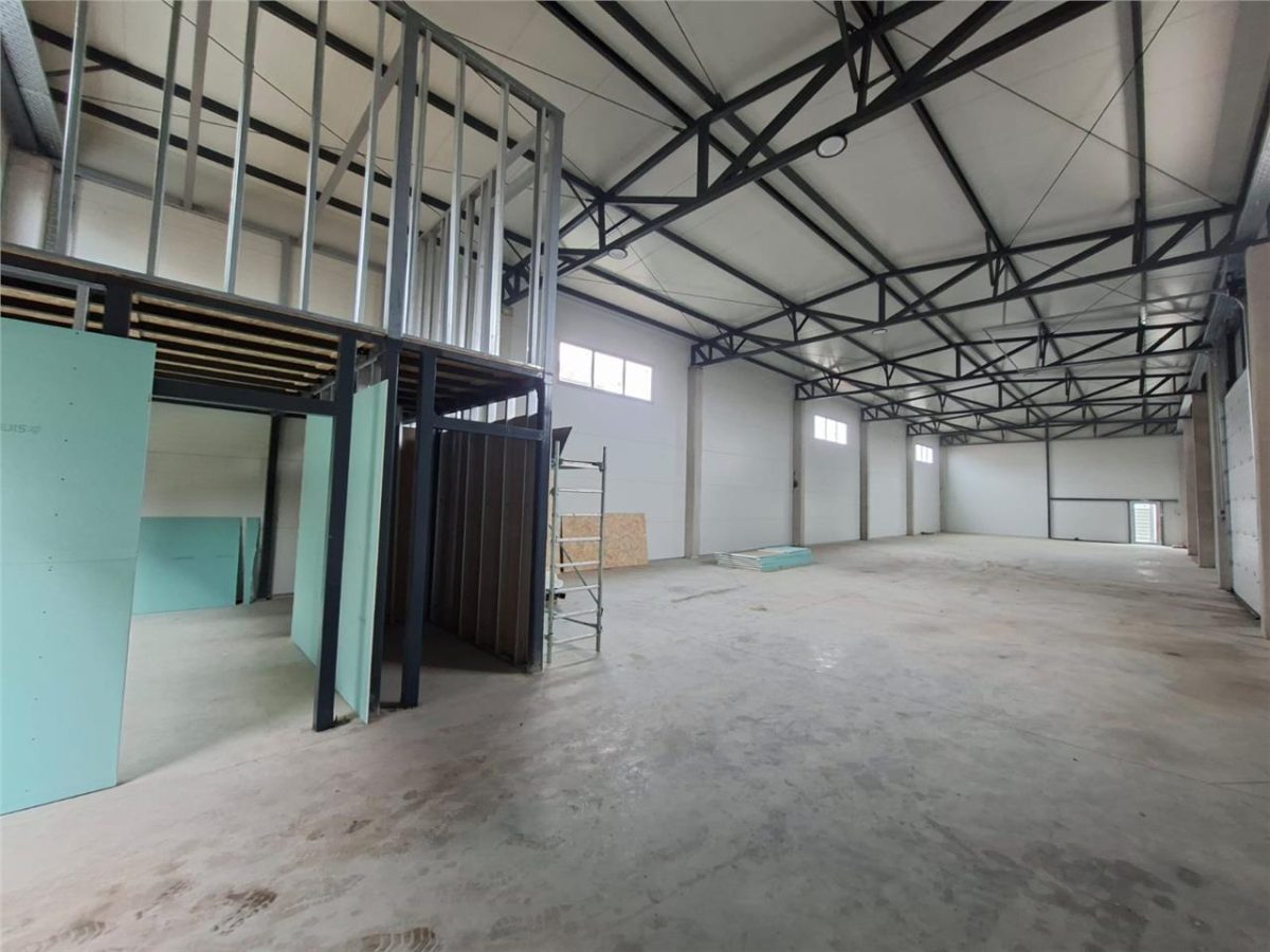 Afumati-E85, Hala 420 mp - foto 7