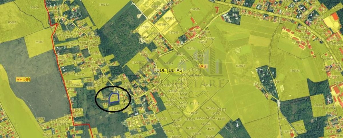 Viticultori Copou teren 4000mp (6loturi)cu Puz realizat - foto 2