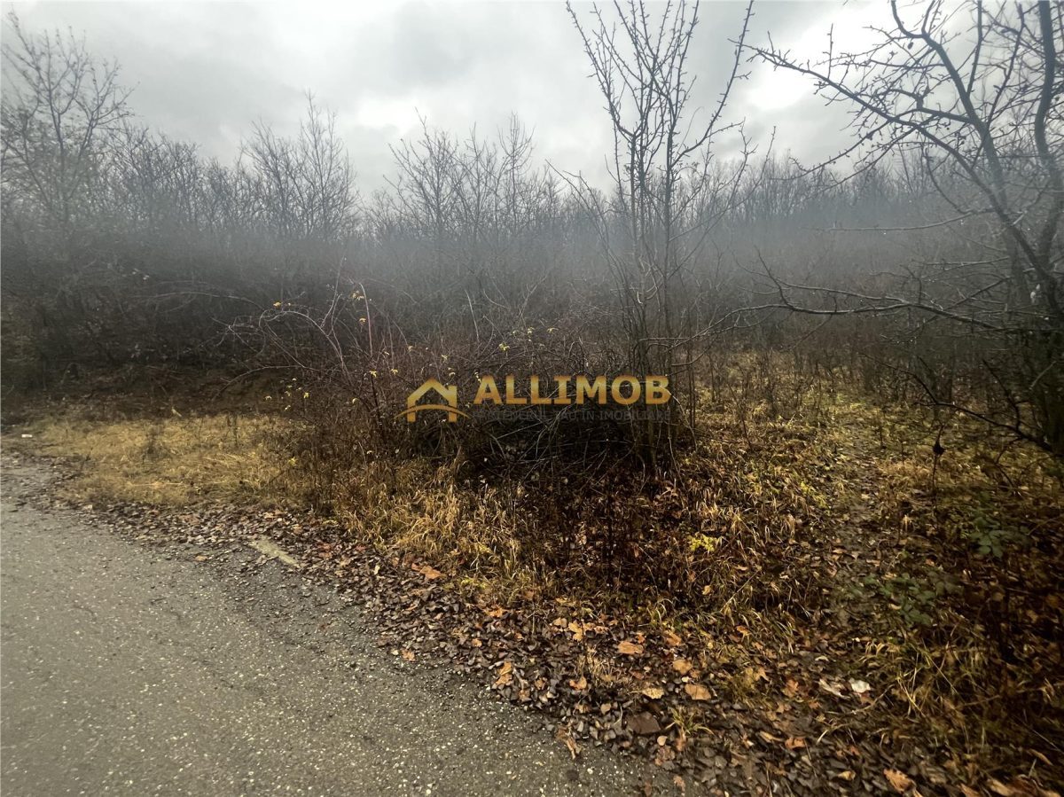 Teren intravilan 653 mp in Boldesti-Scaeni. - foto 11