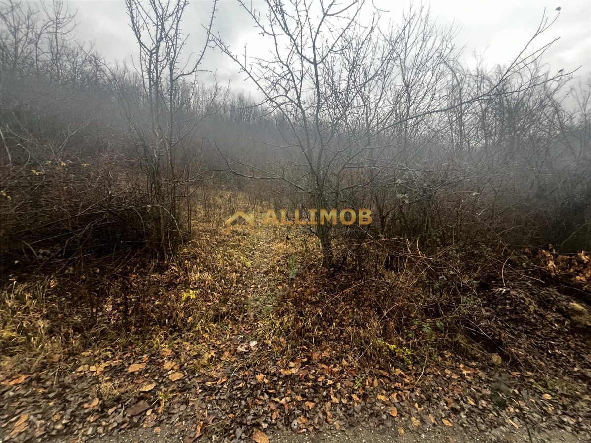 Teren intravilan 653 mp in Boldesti-Scaeni. - foto 12