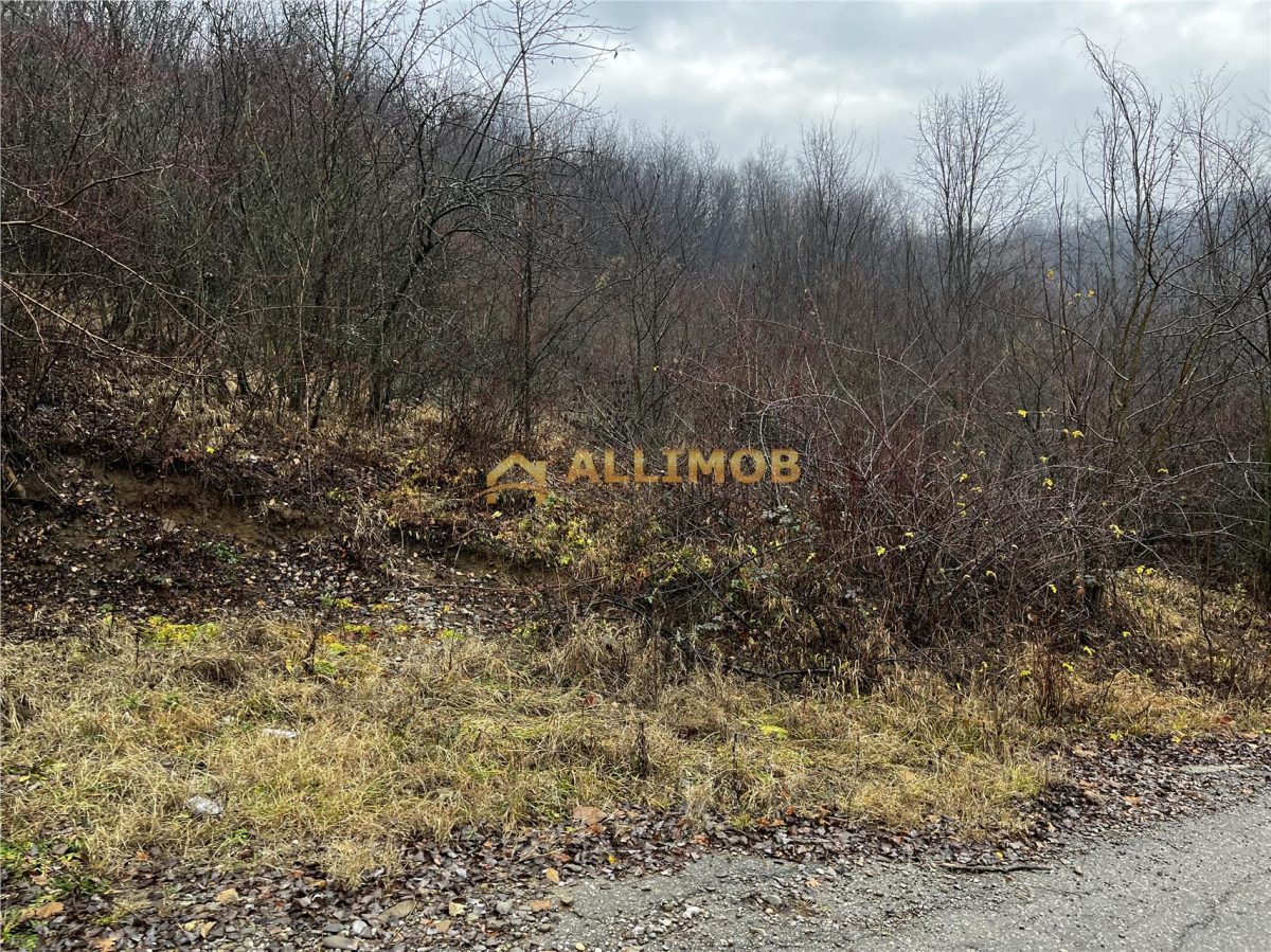 Teren intravilan 653 mp in Boldesti-Scaeni. - foto 3