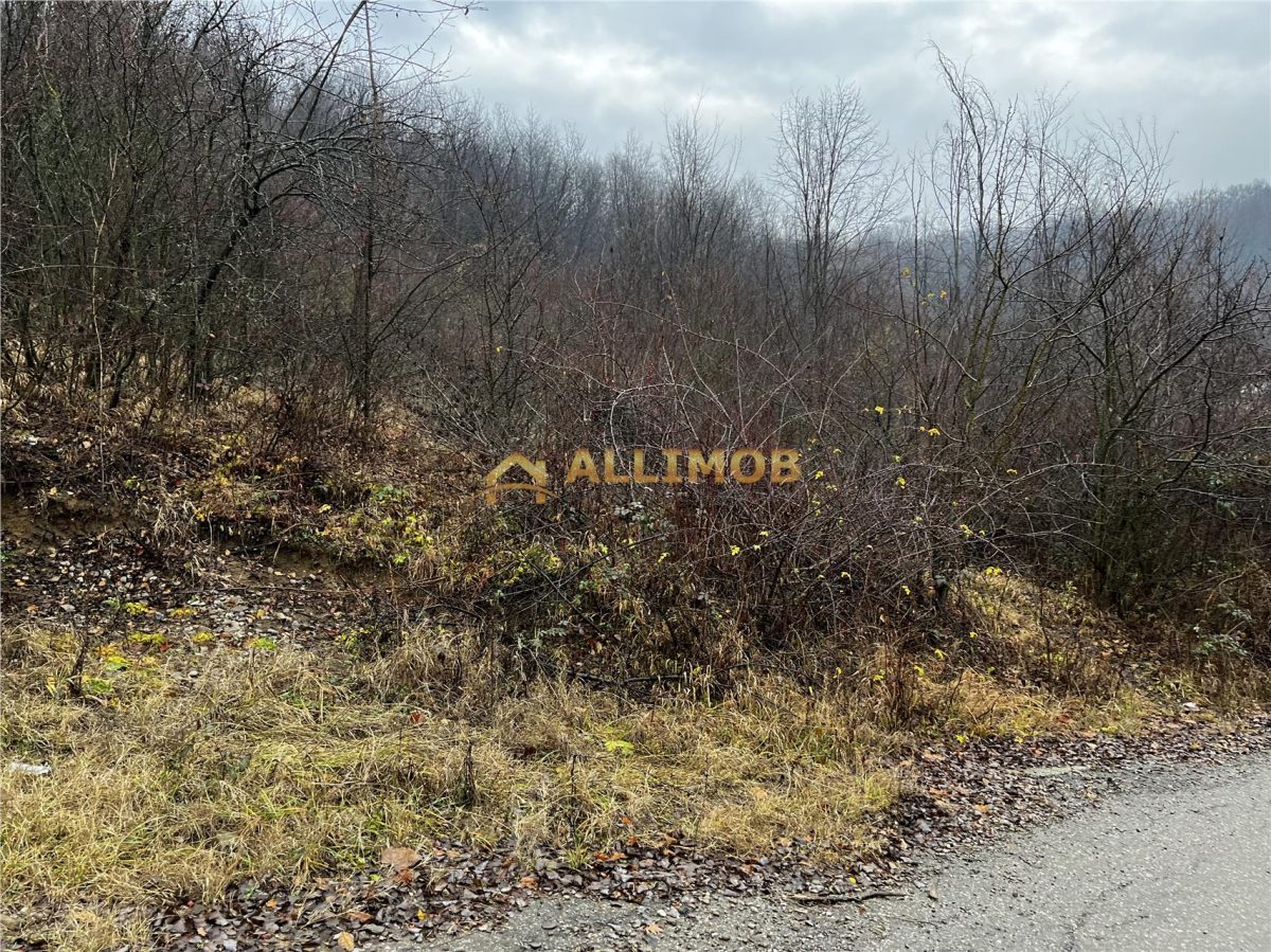 Teren intravilan 653 mp in Boldesti-Scaeni. - foto 4