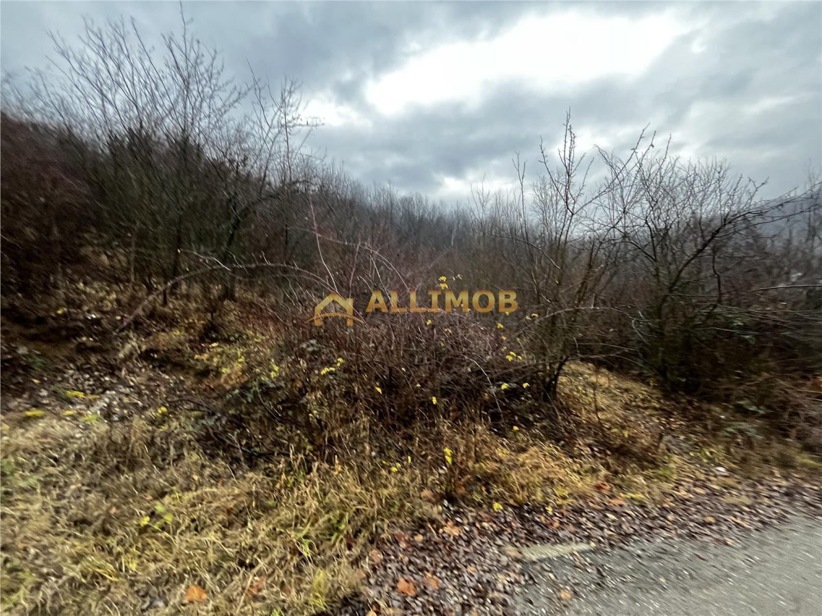 Teren intravilan 653 mp in Boldesti-Scaeni. - foto 5