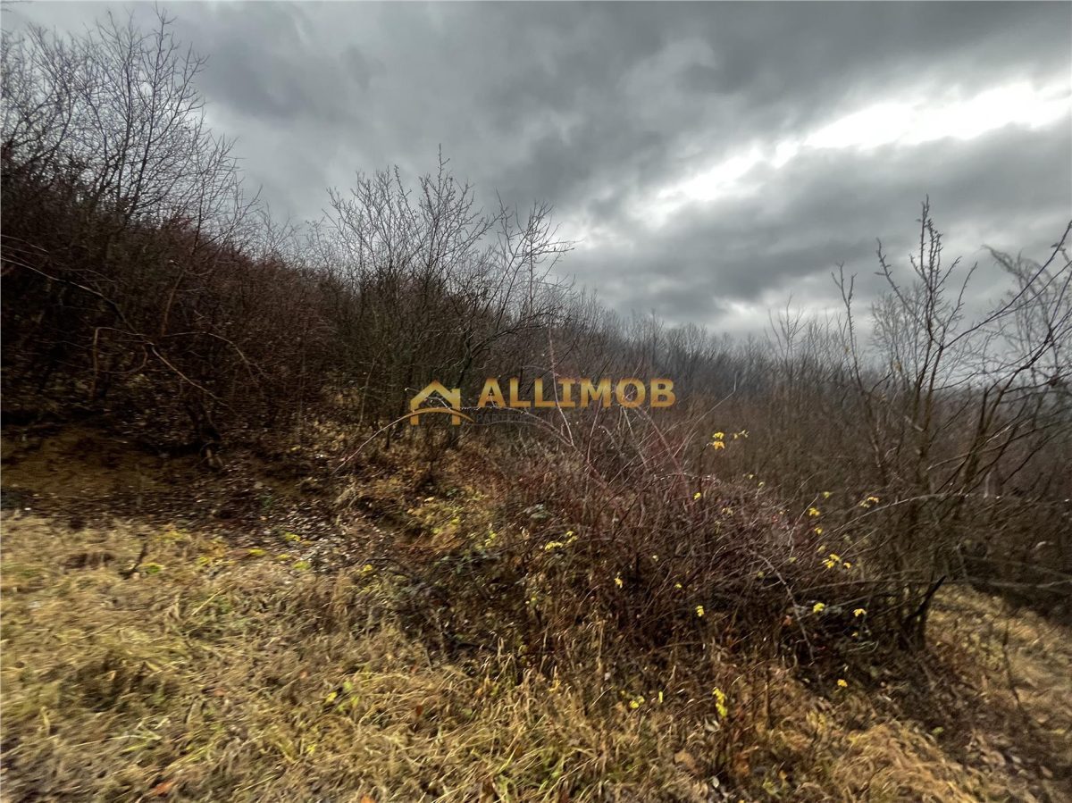 Teren intravilan 653 mp in Boldesti-Scaeni. - foto 6