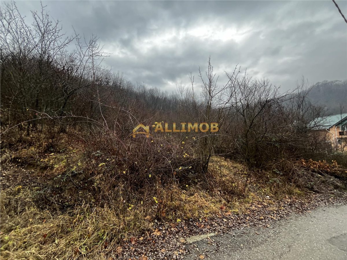 Teren intravilan 653 mp in Boldesti-Scaeni. - foto 7