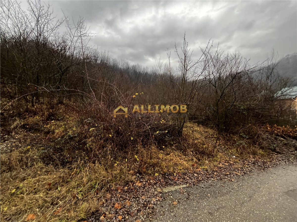 Teren intravilan 653 mp in Boldesti-Scaeni. - foto 8