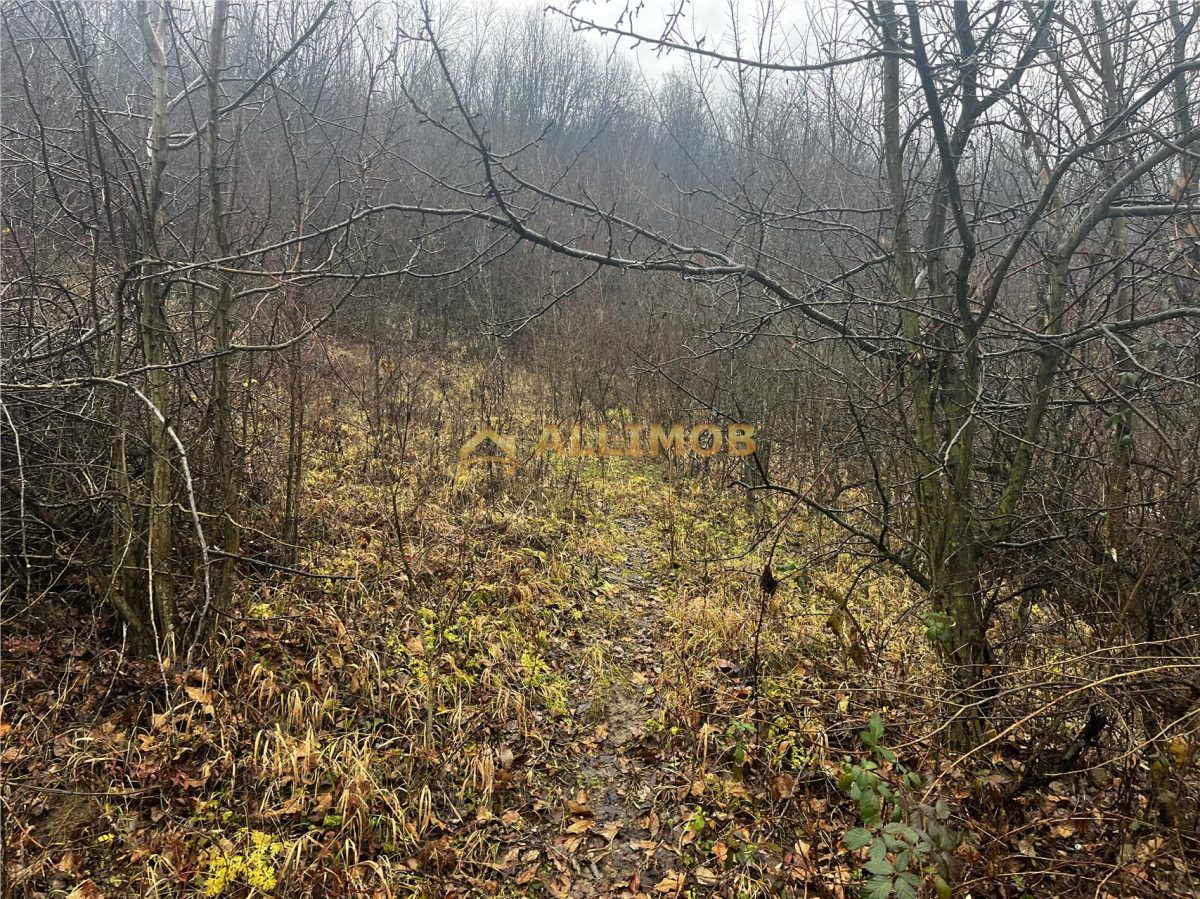 Teren intravilan 653 mp in Boldesti-Scaeni. - foto 9