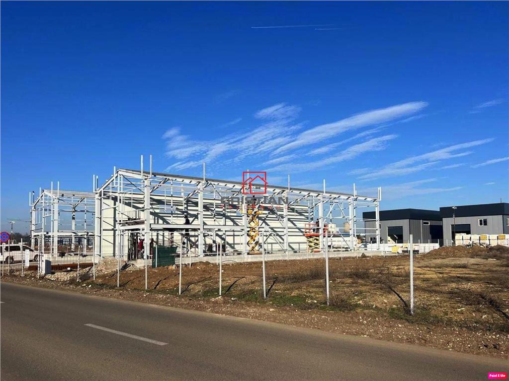 Vanzare depozit/hala/spatiu industrial Domnesti - Centura - foto 3