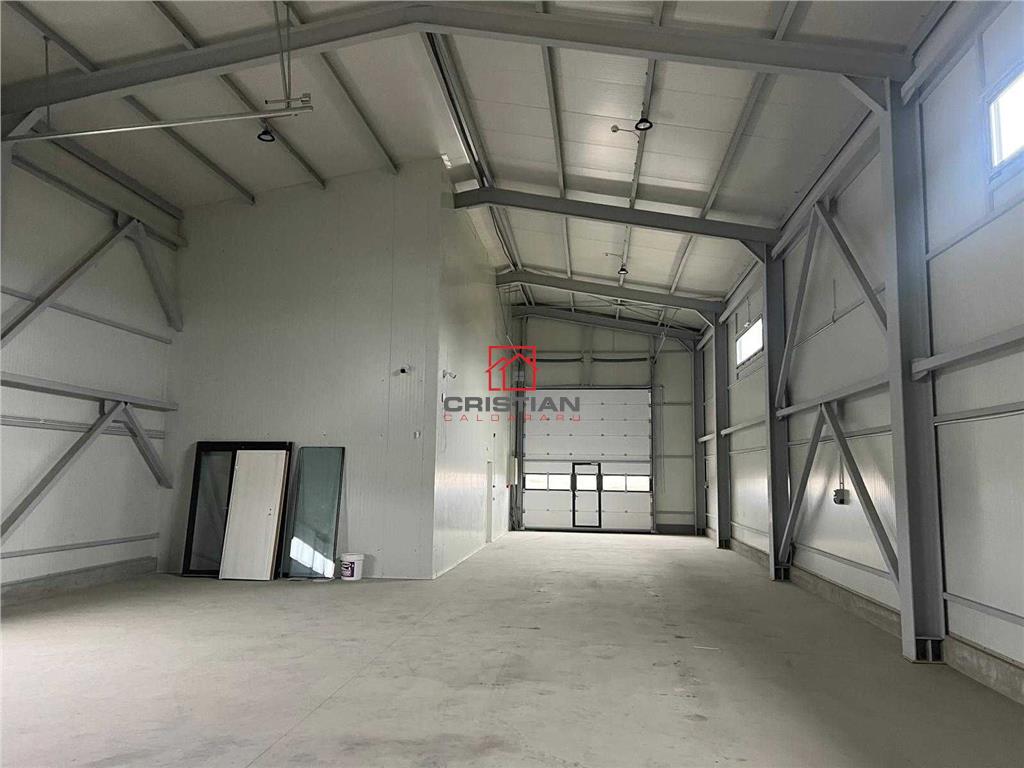 Inchiriere depozit/hala/spatiu industrial Domnesti - Centura - 