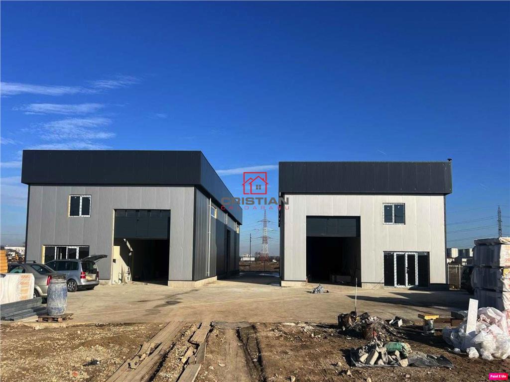Inchiriere depozit/hala/spatiu industrial Domnesti - Centura - foto 2
