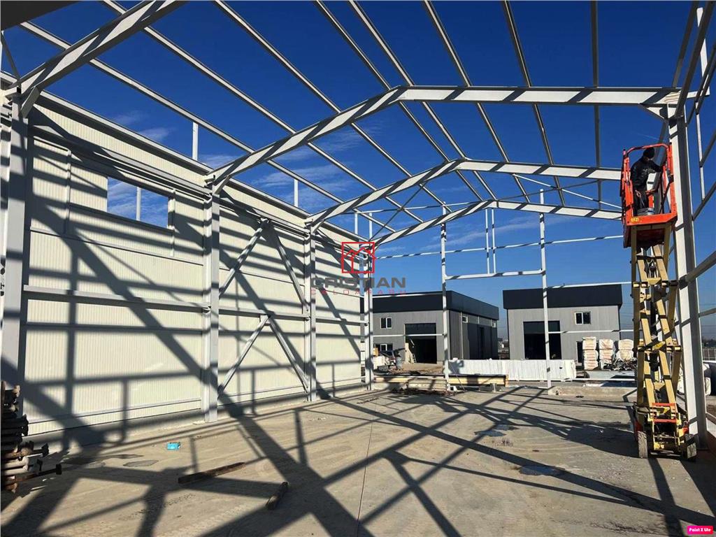 Inchiriere depozit/hala/spatiu industrial Domnesti - Centura - foto 4