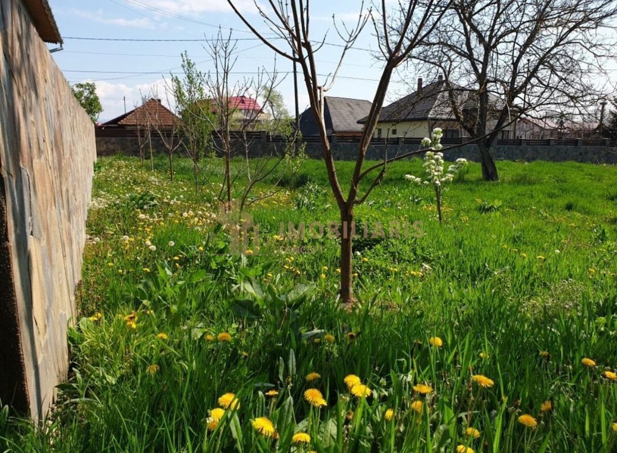 Teren intravilan 11 ari, Gardani - foto 5