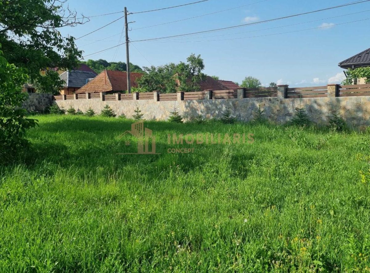 Teren intravilan 11 ari, Gardani - foto 6