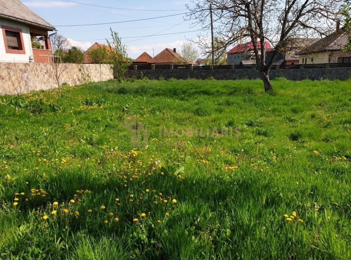 Teren intravilan 11 ari, Gardani - foto 7