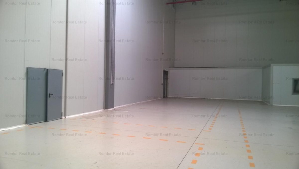 Militari - A1 hala depozitare, productie,depozit alimentar,farmaceutic - foto 6