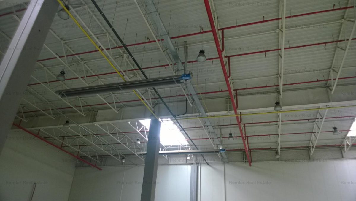 Militari - A1 hala depozitare, productie,depozit alimentar,farmaceutic - foto 9