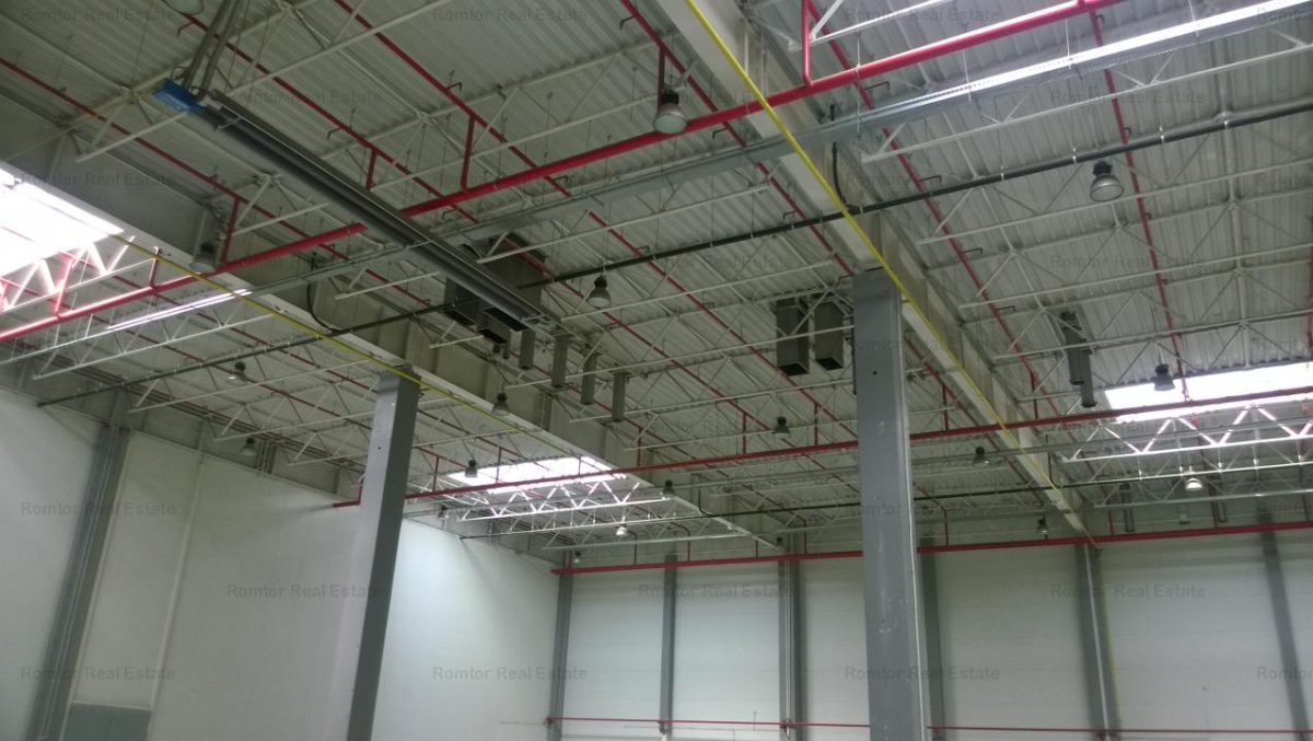 Militari - A1 hala depozitare, productie,depozit alimentar,farmaceutic - foto 10